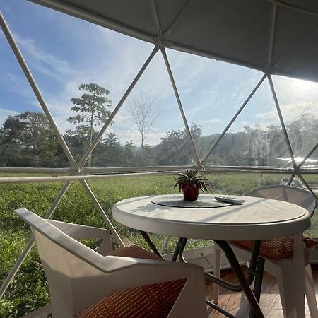 La Comarca River Glamping Dome Near Manuel Antonio Eksteriør billede
