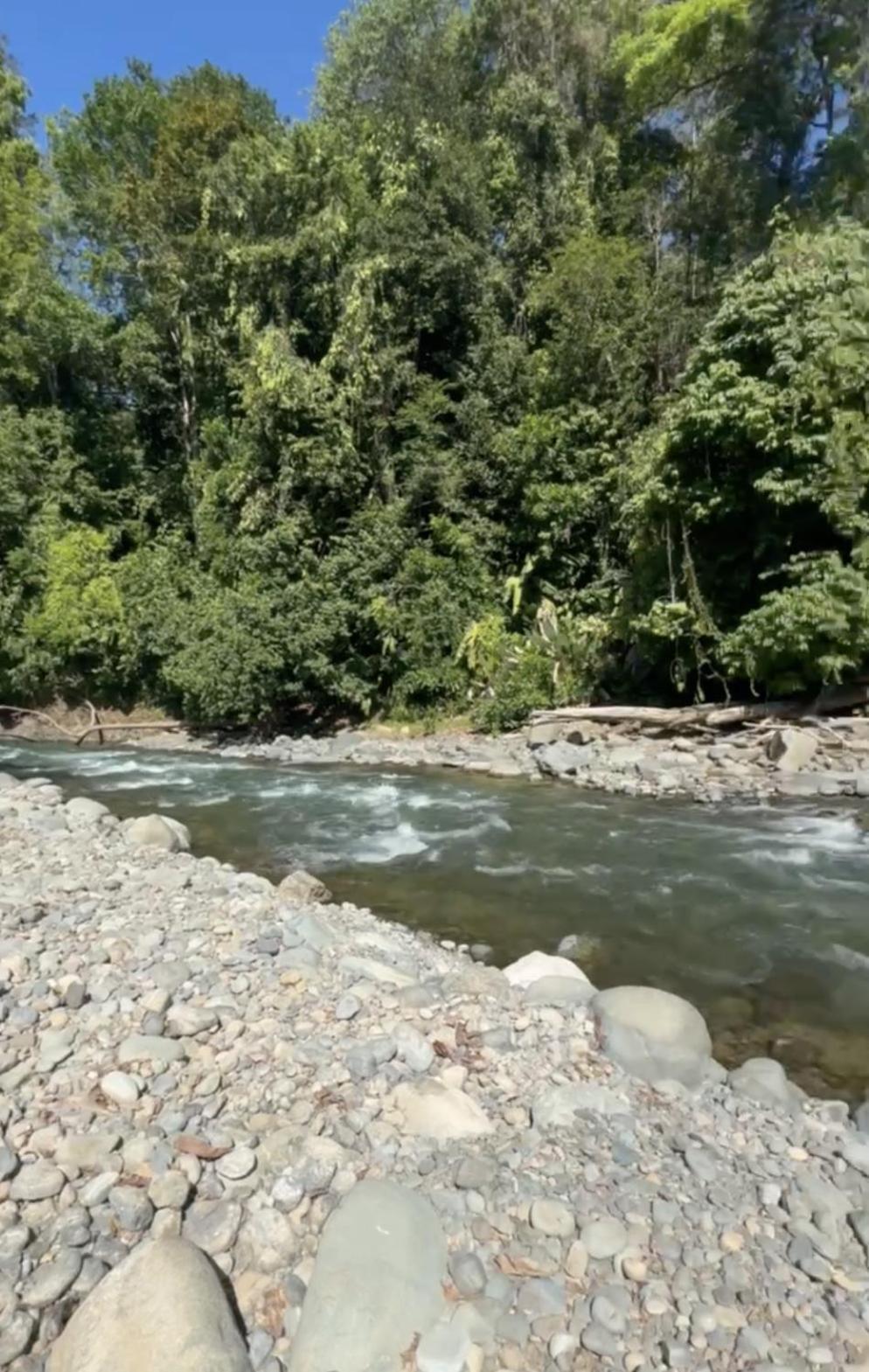 La Comarca River Glamping Dome Near Manuel Antonio Eksteriør billede